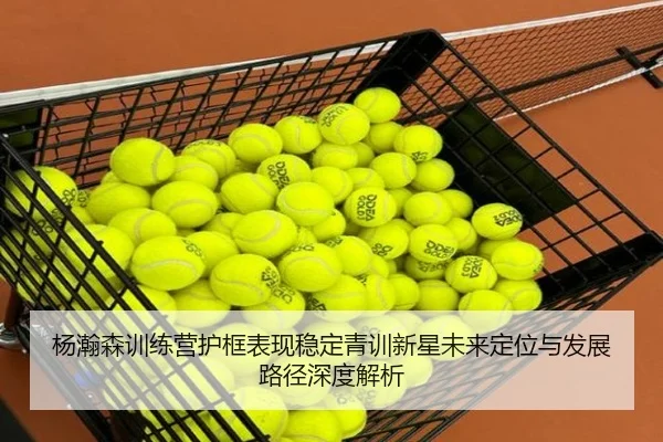 杨瀚森训练营护框表现稳定青训新星未来定位与发展路径深度解析